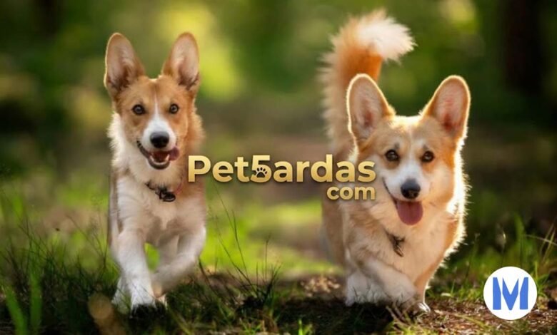 Pet5ardas com